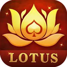teen patti livex download